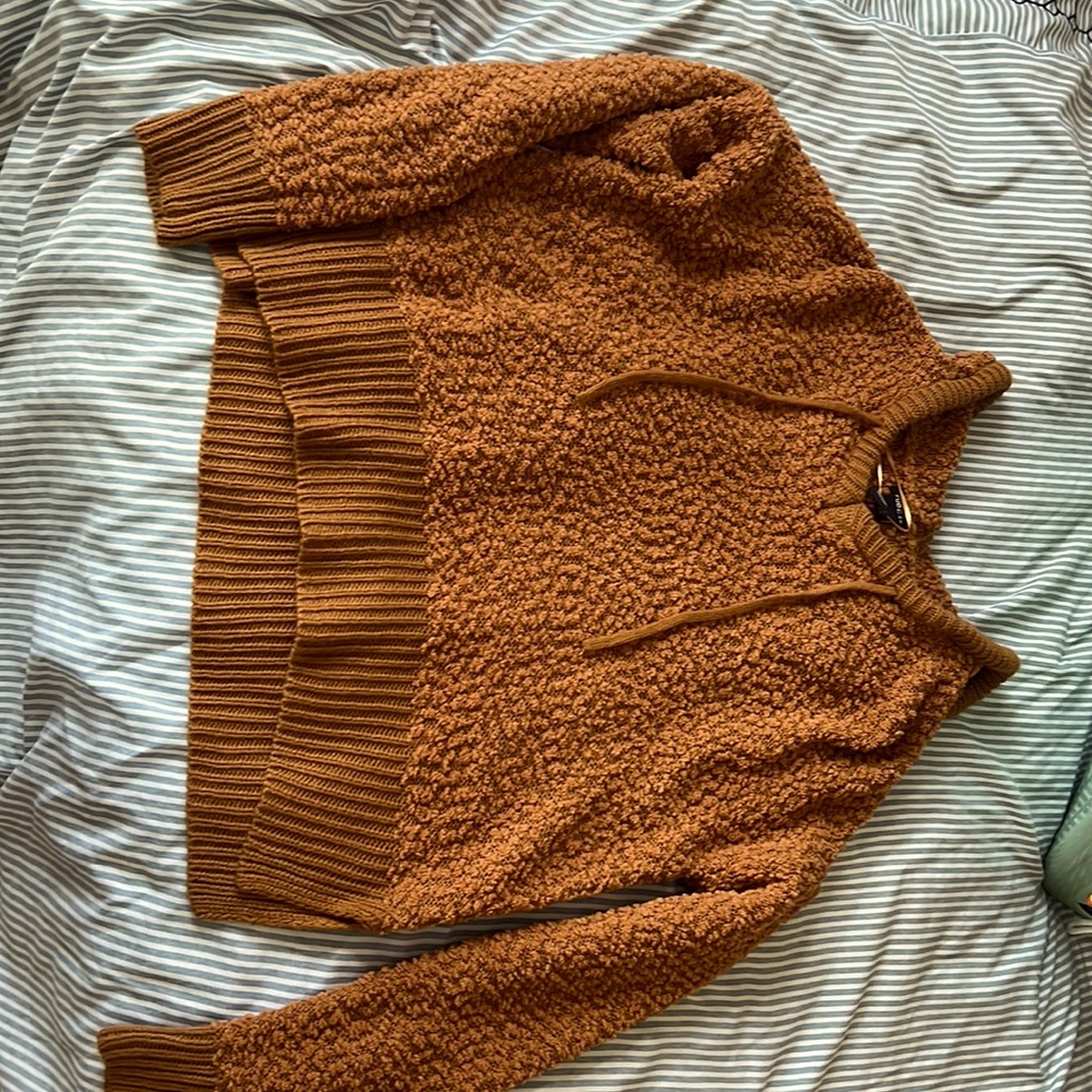 Cropped  brownish sweater, from rue 21